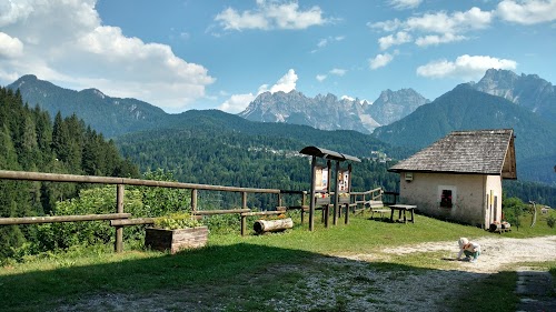 Lozzo di Cadore
